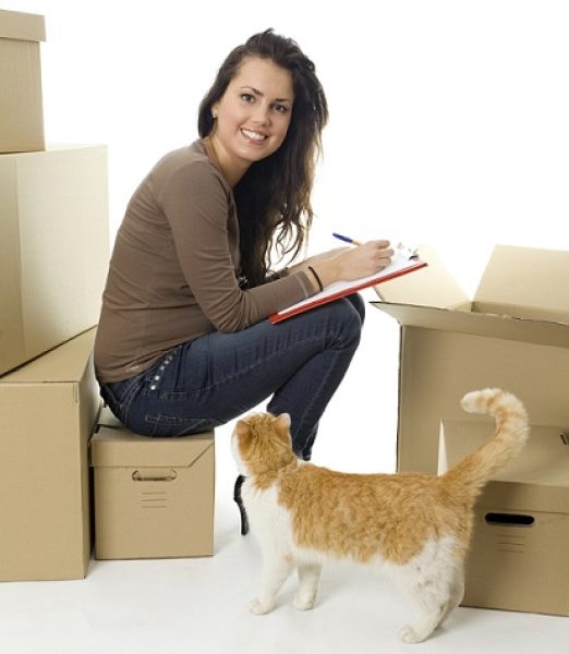 cat-moving