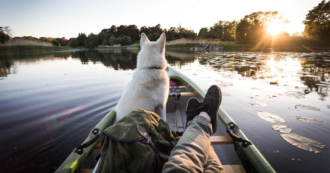 vtq-ontwormmei-met-hond-op-vakantie